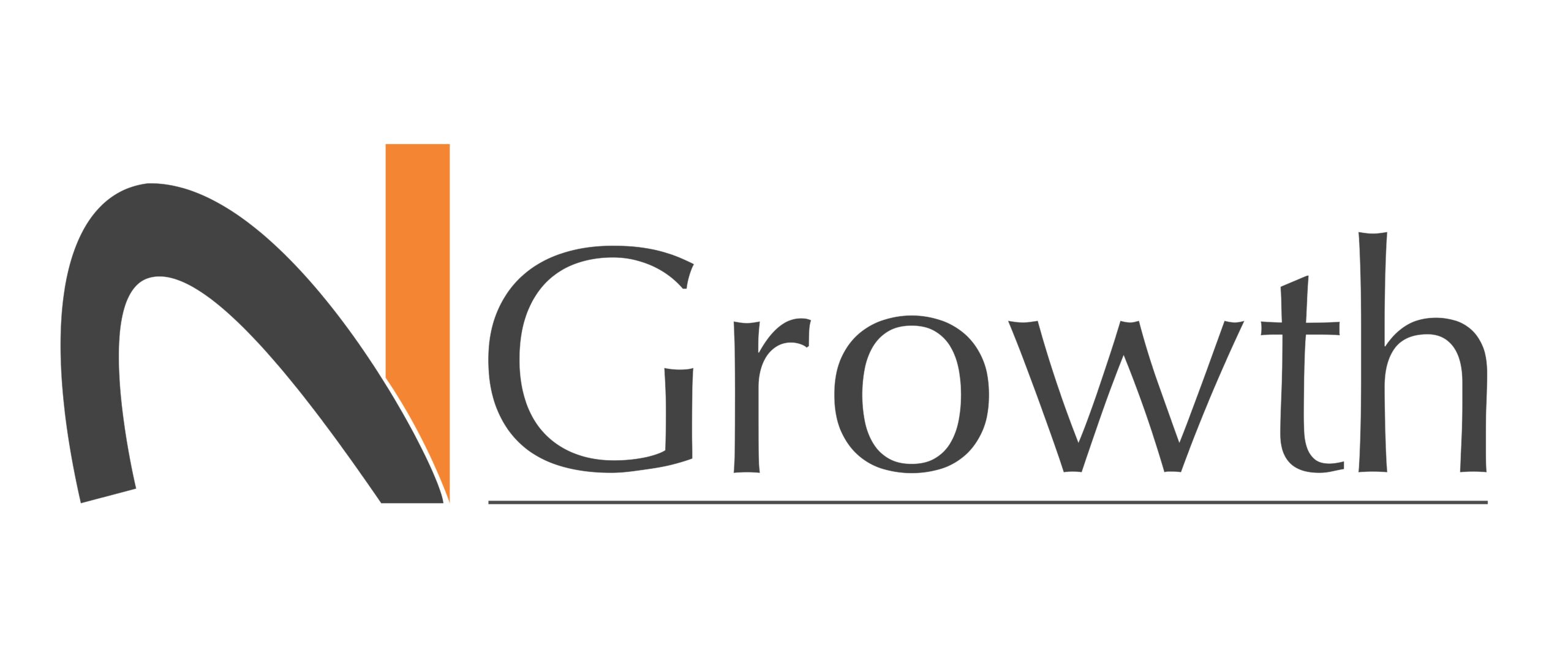 N2Growth Executive Search